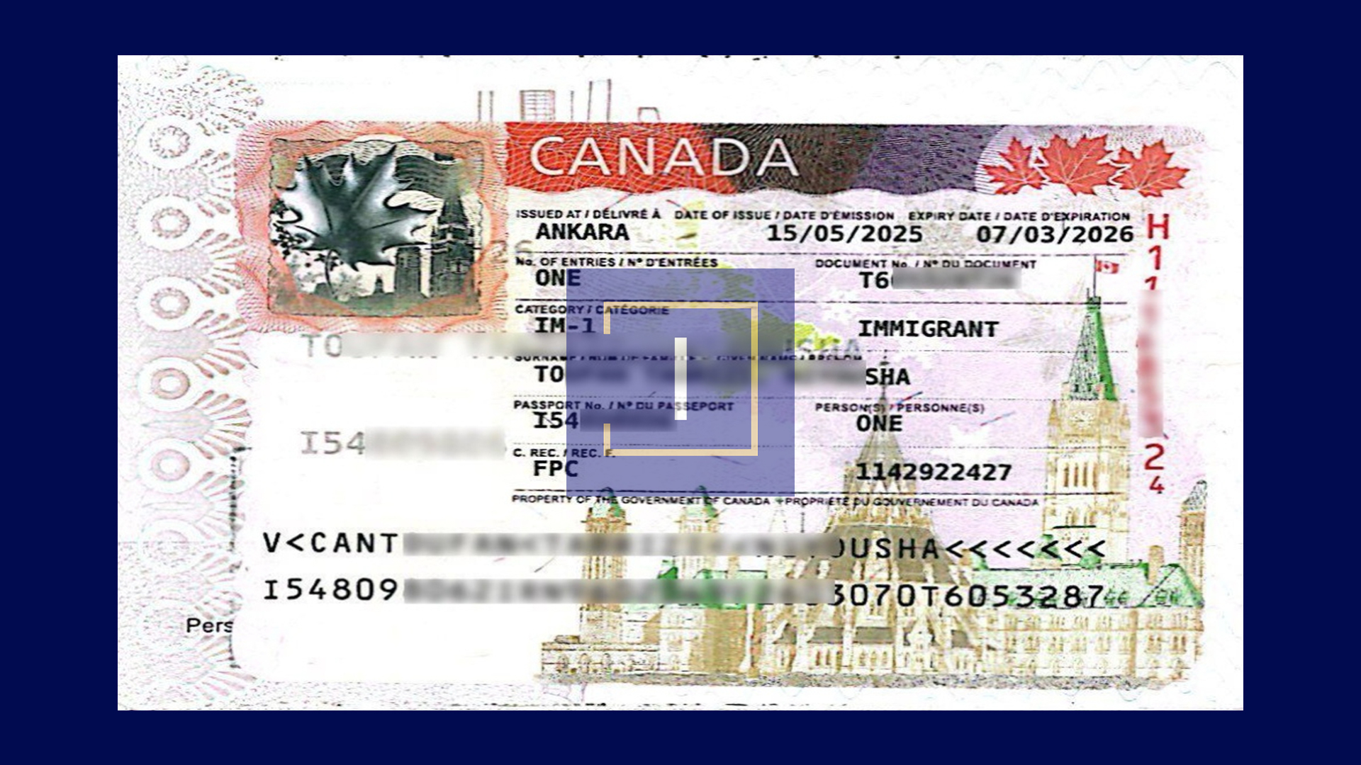 immispot visa image
