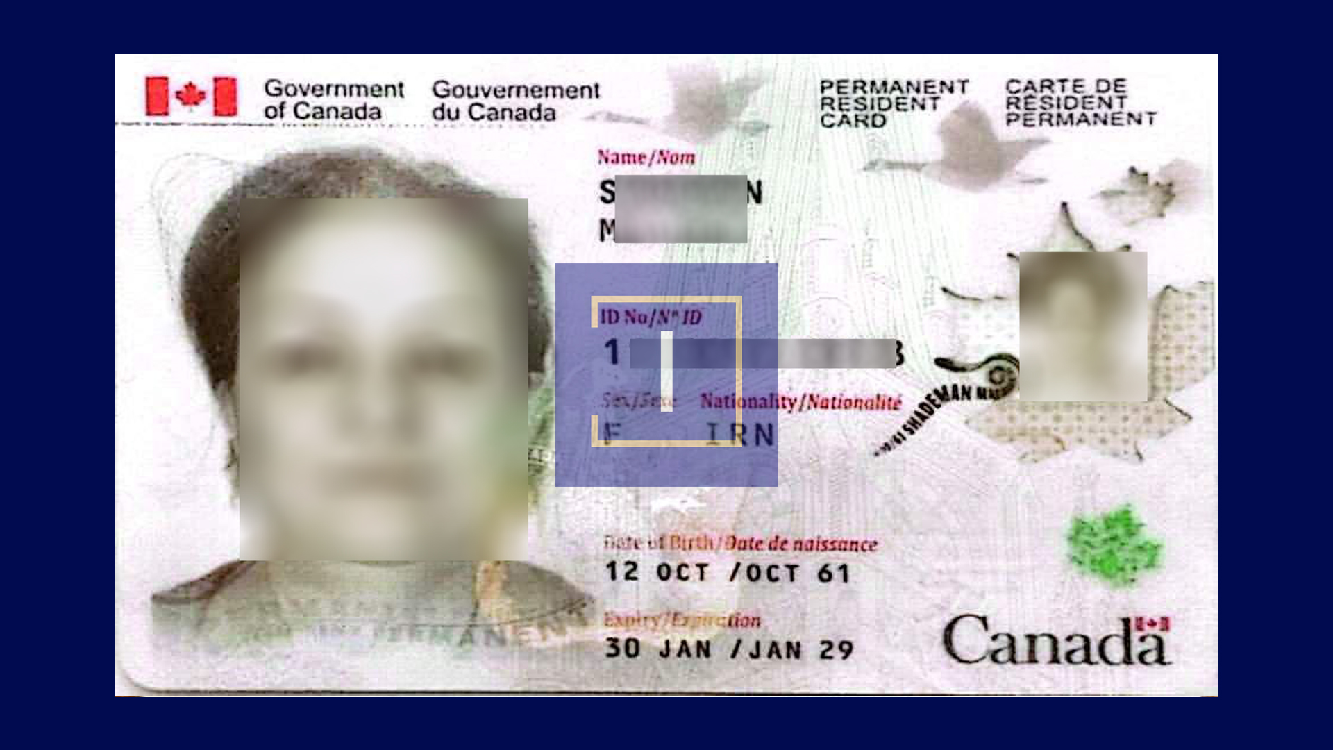 immispot visa image