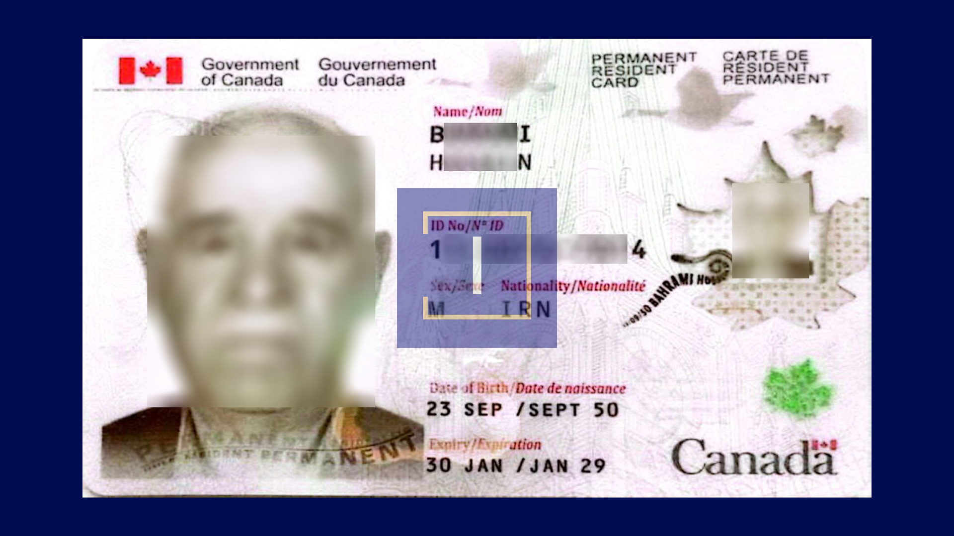 immispot visa image