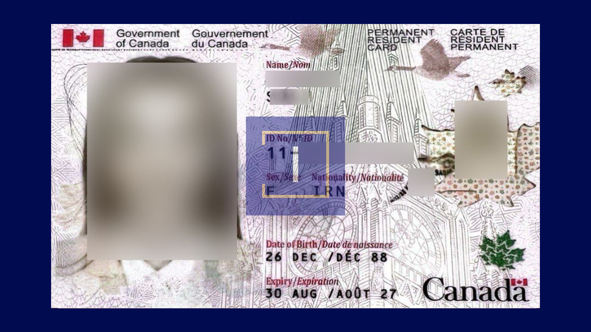 immispot visa image