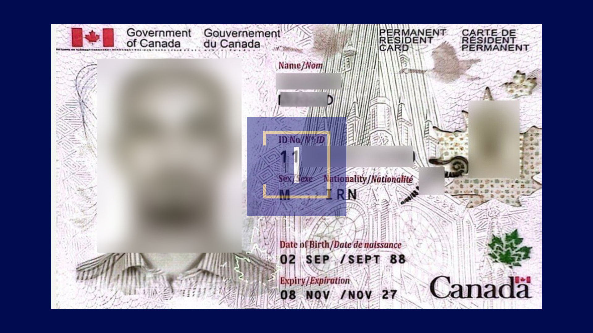 immispot visa image