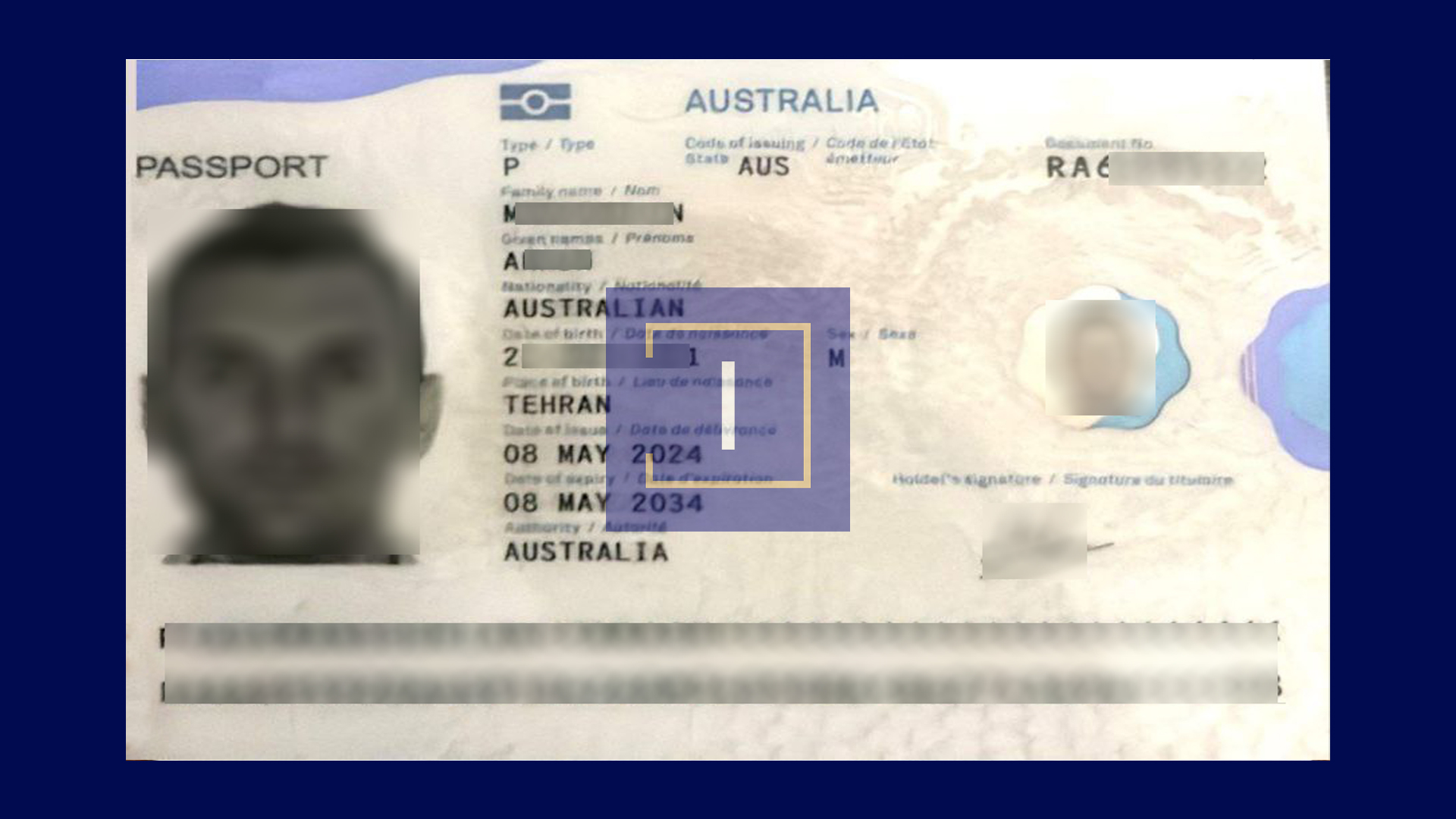 immispot visa image
