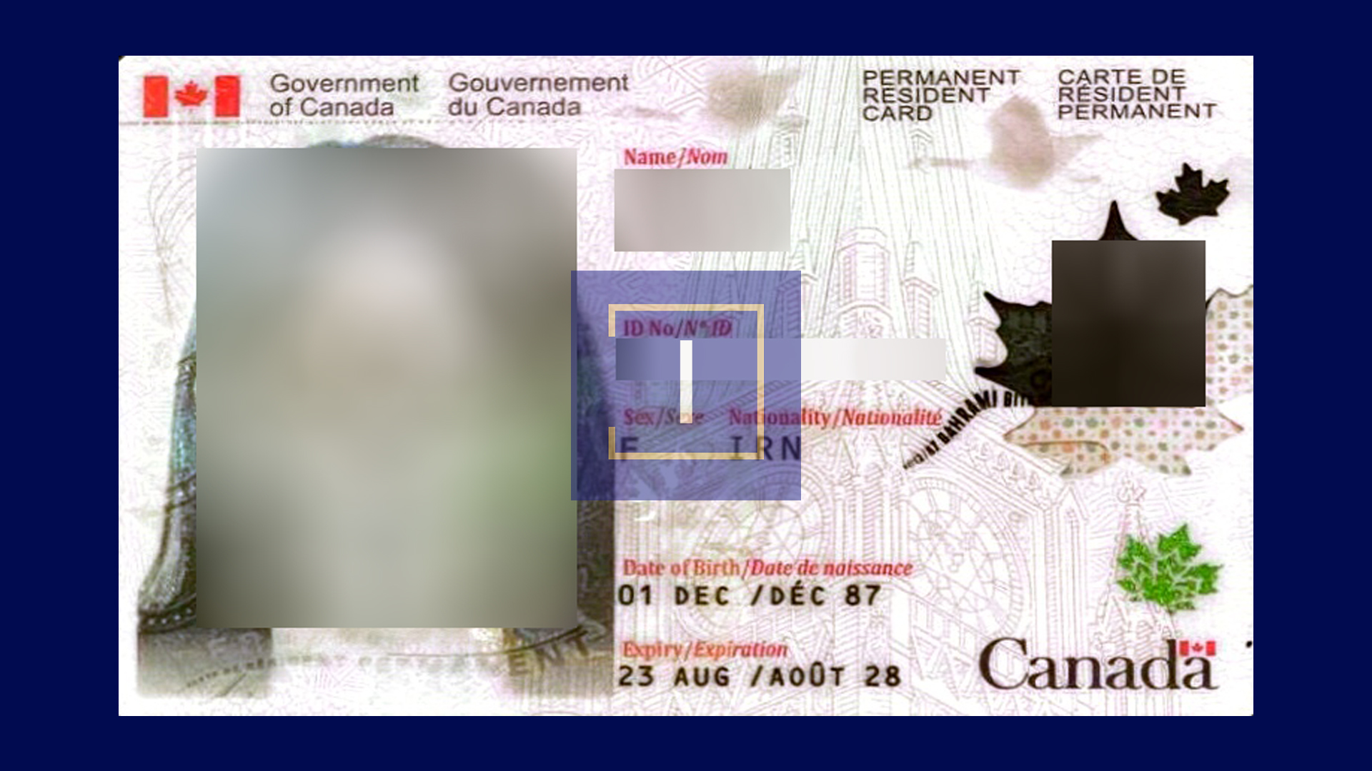 immispot visa image