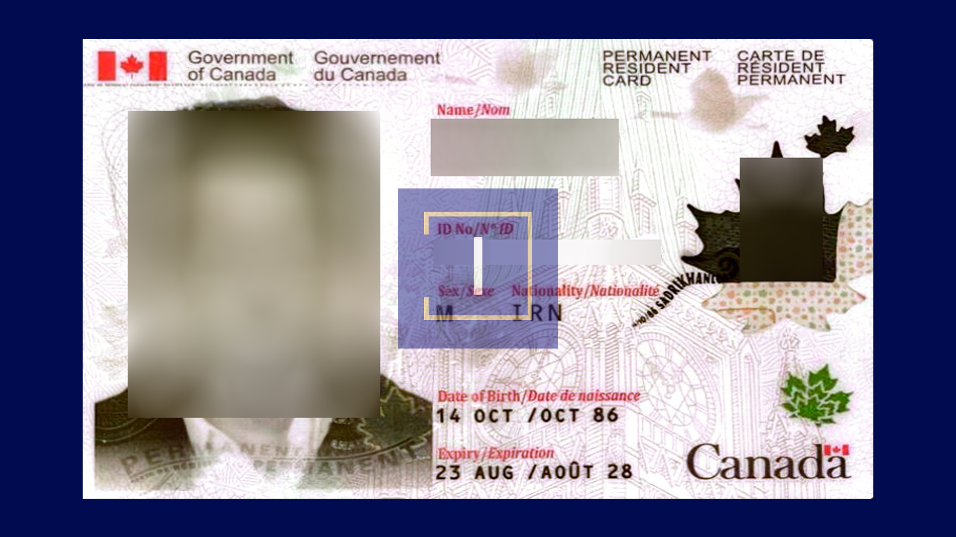 immispot visa image