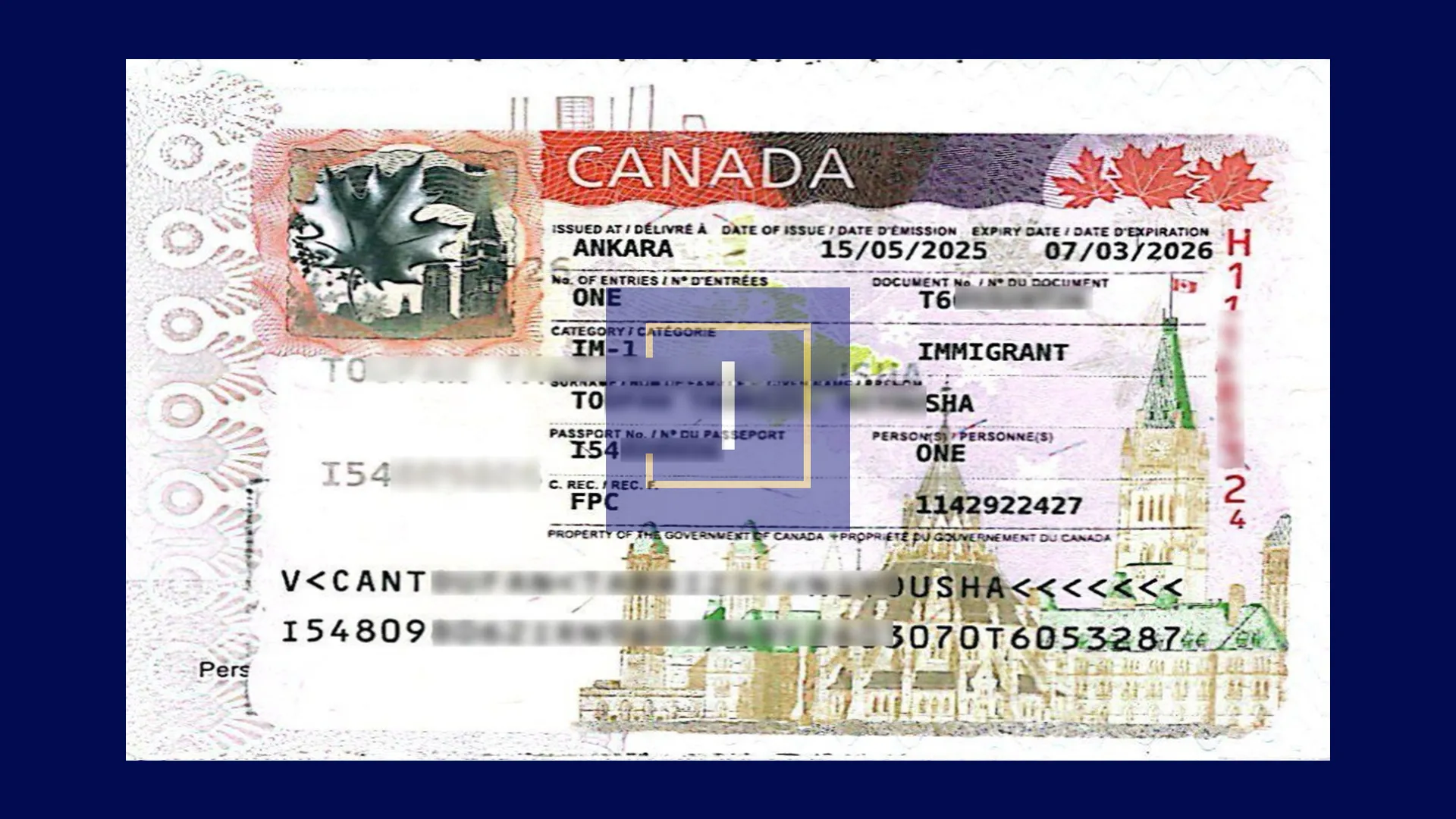 immispot visa image