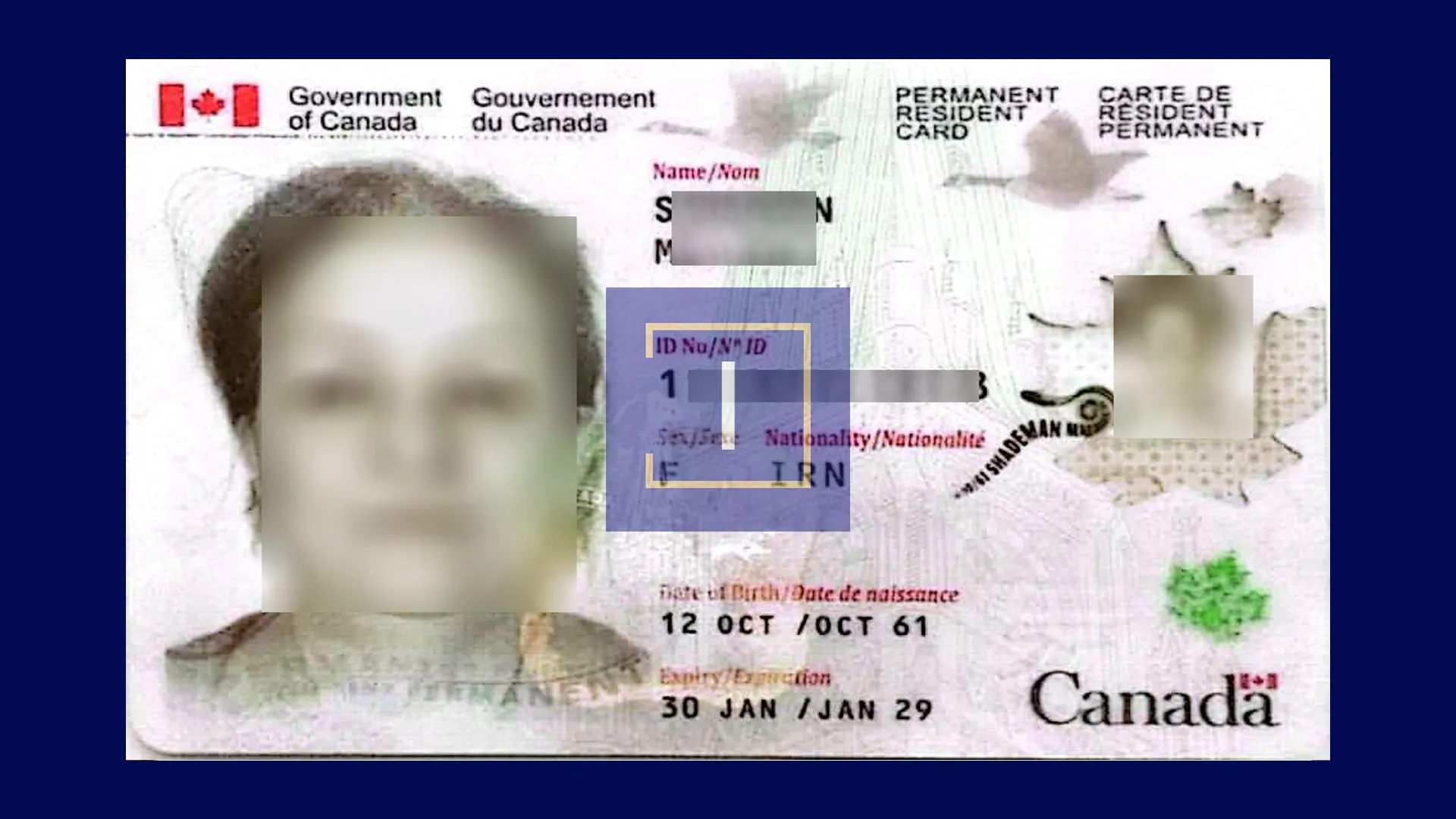 immispot visa image