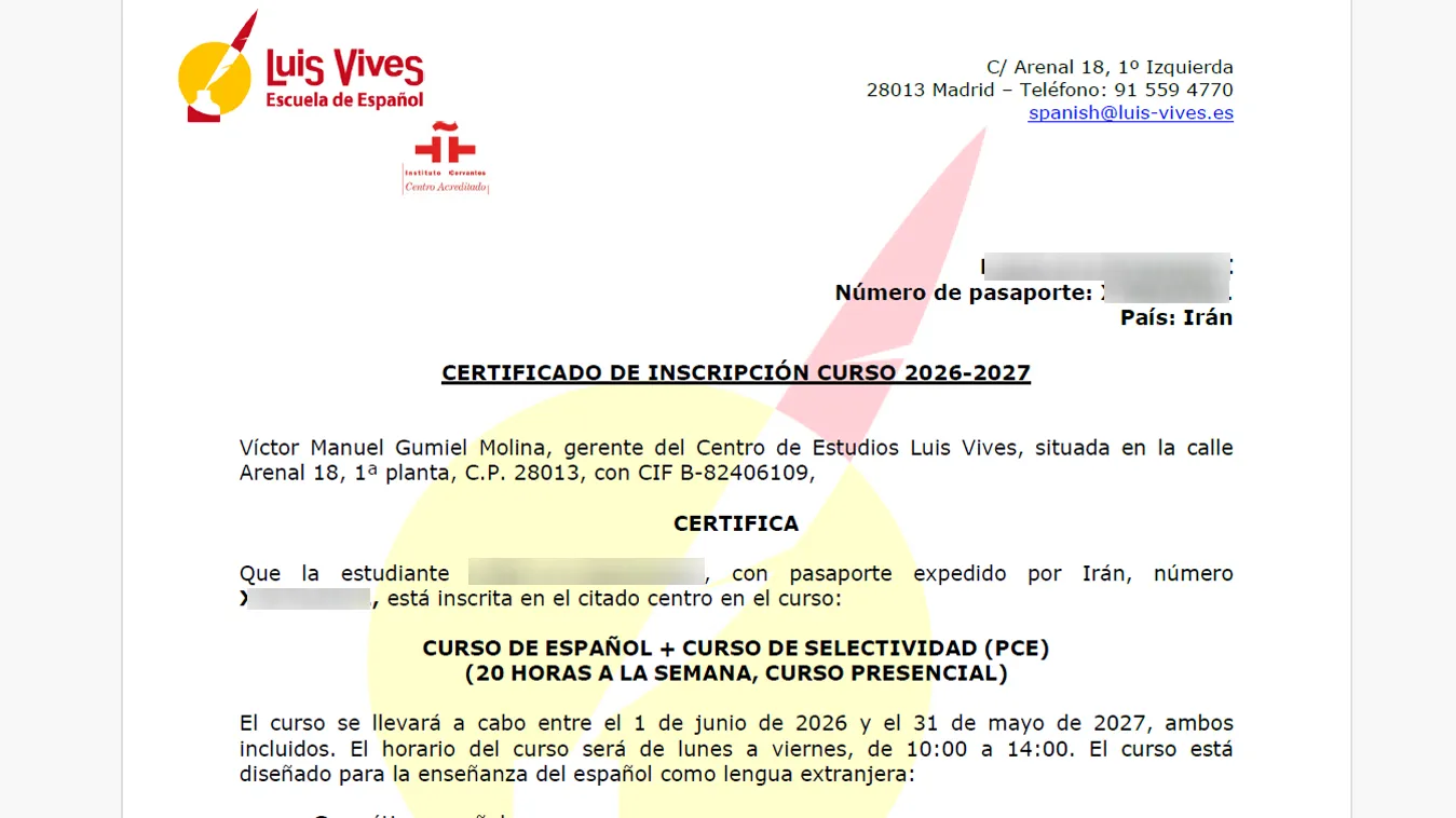 immispot visa image
