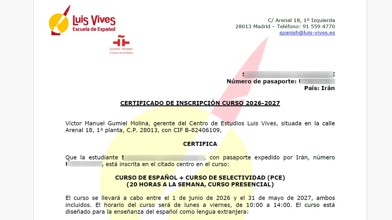 immispot visa image