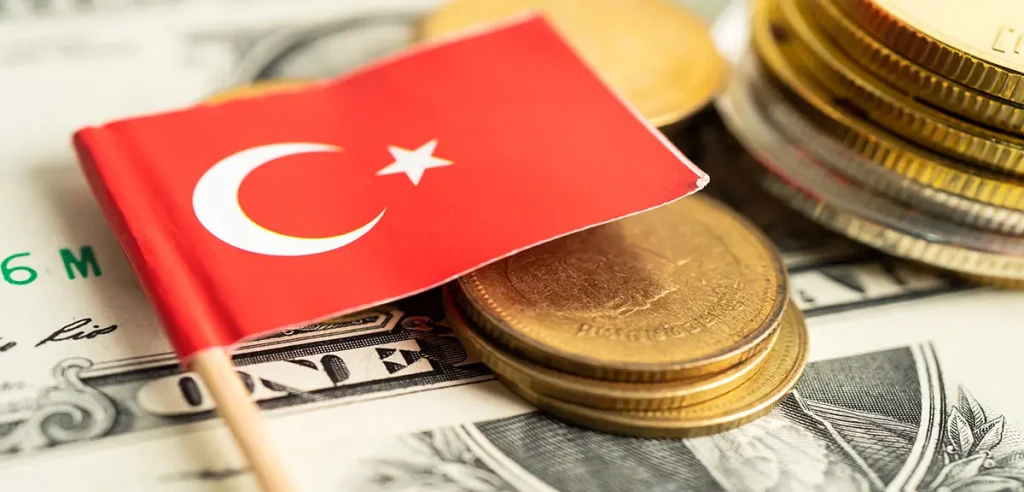 حقوق و درآمد در ترکیه