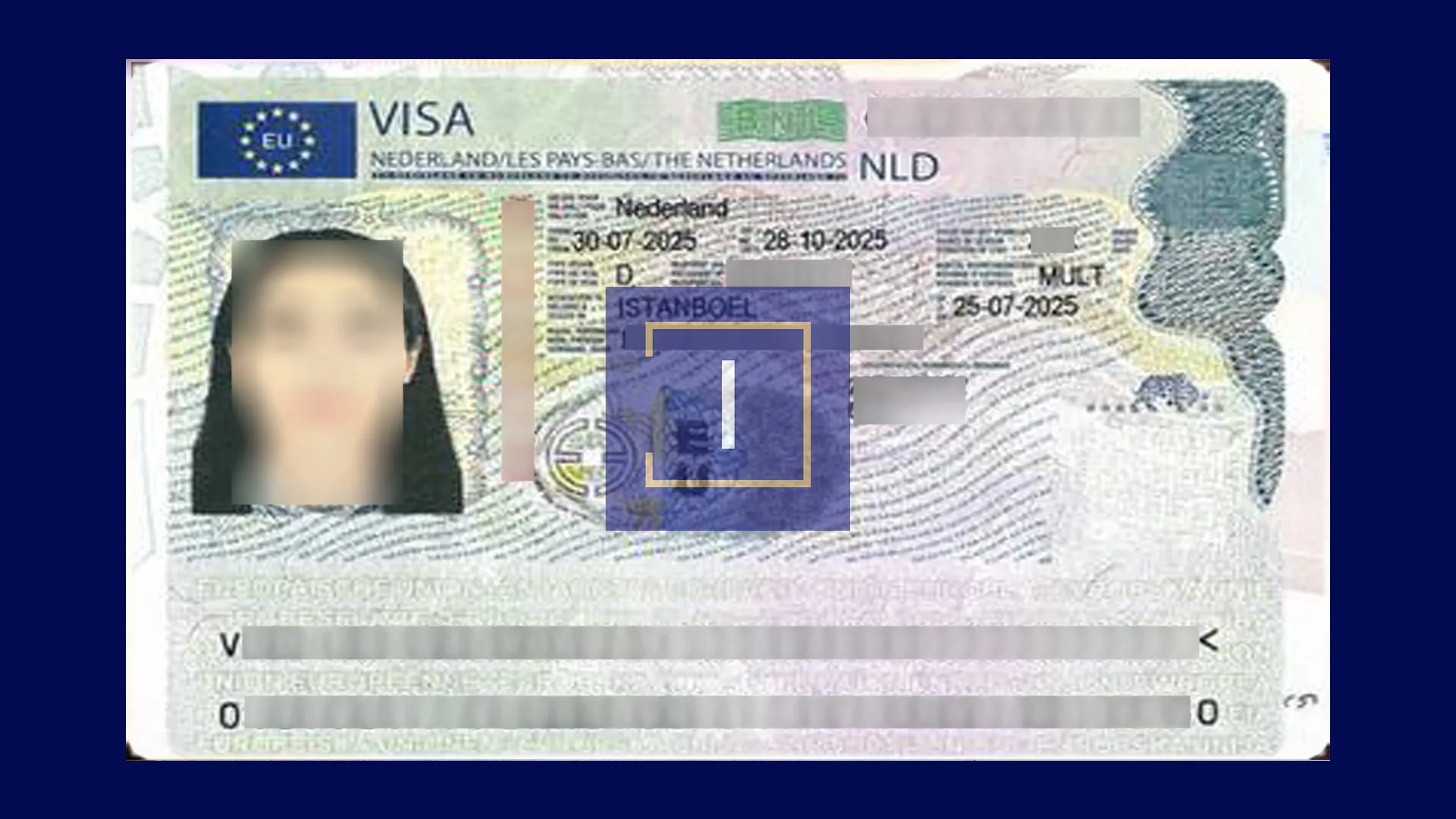 immispot visa image